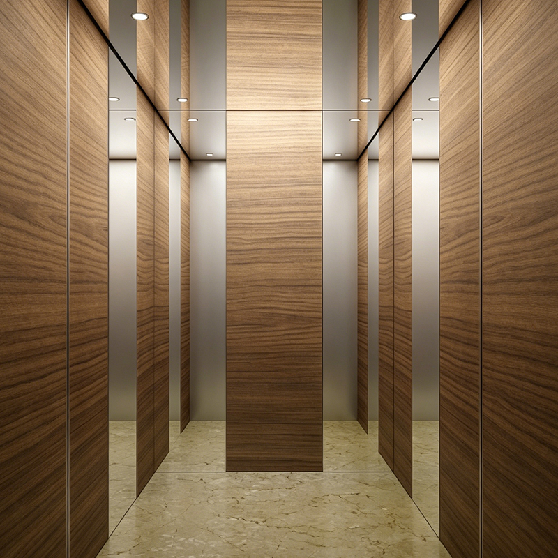 Furnir din lemn modern cabină interior vilă lift pasageri